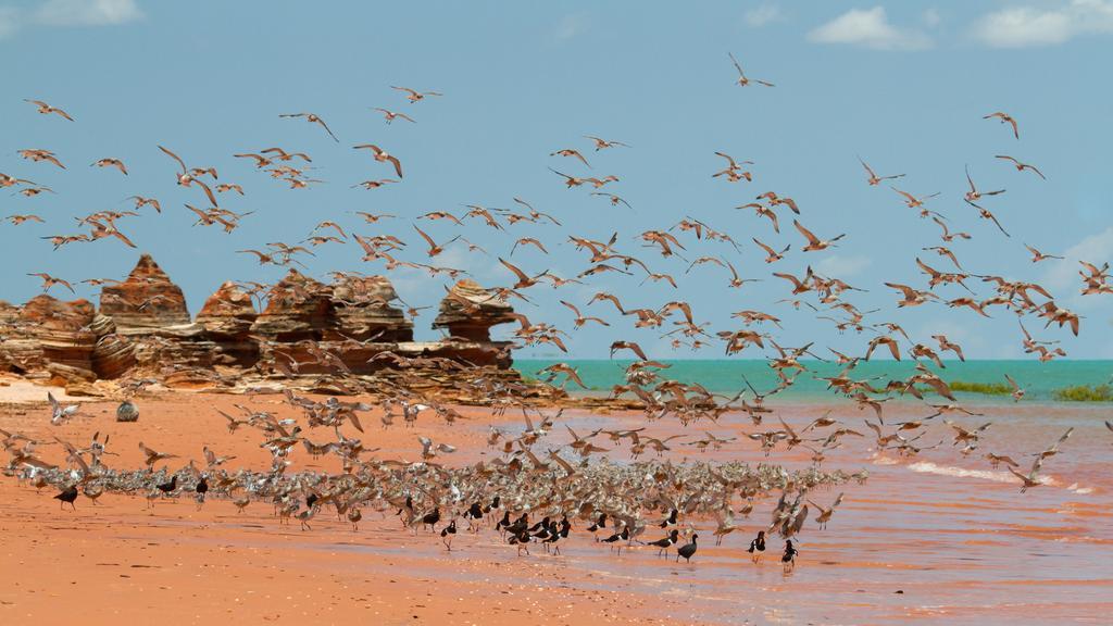 Broome Bird Observatory Exterior foto